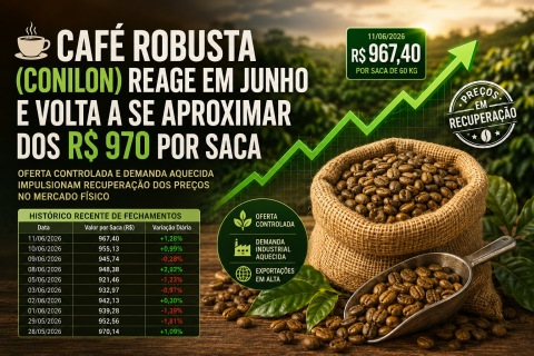 A Valorização do Café Robusta no Mercado Brasileiro.